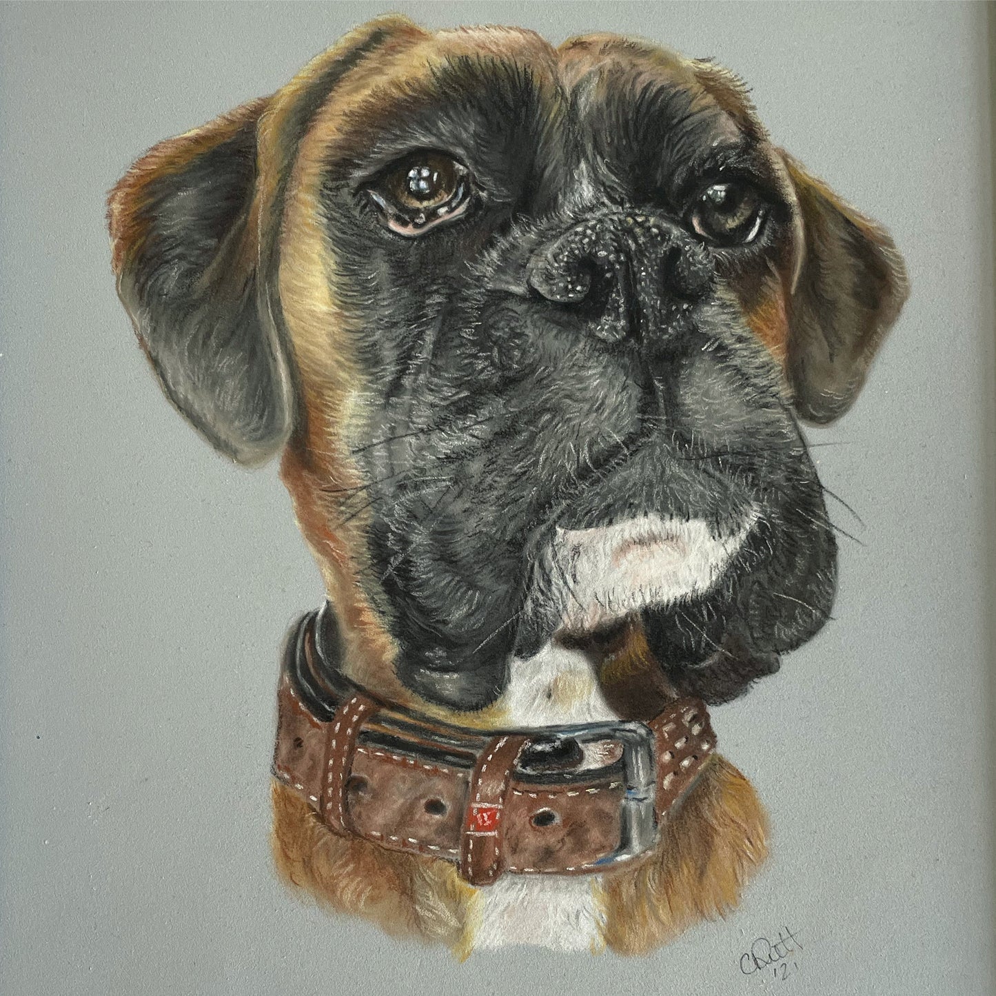 Commissioned Pastel Pet Portraits