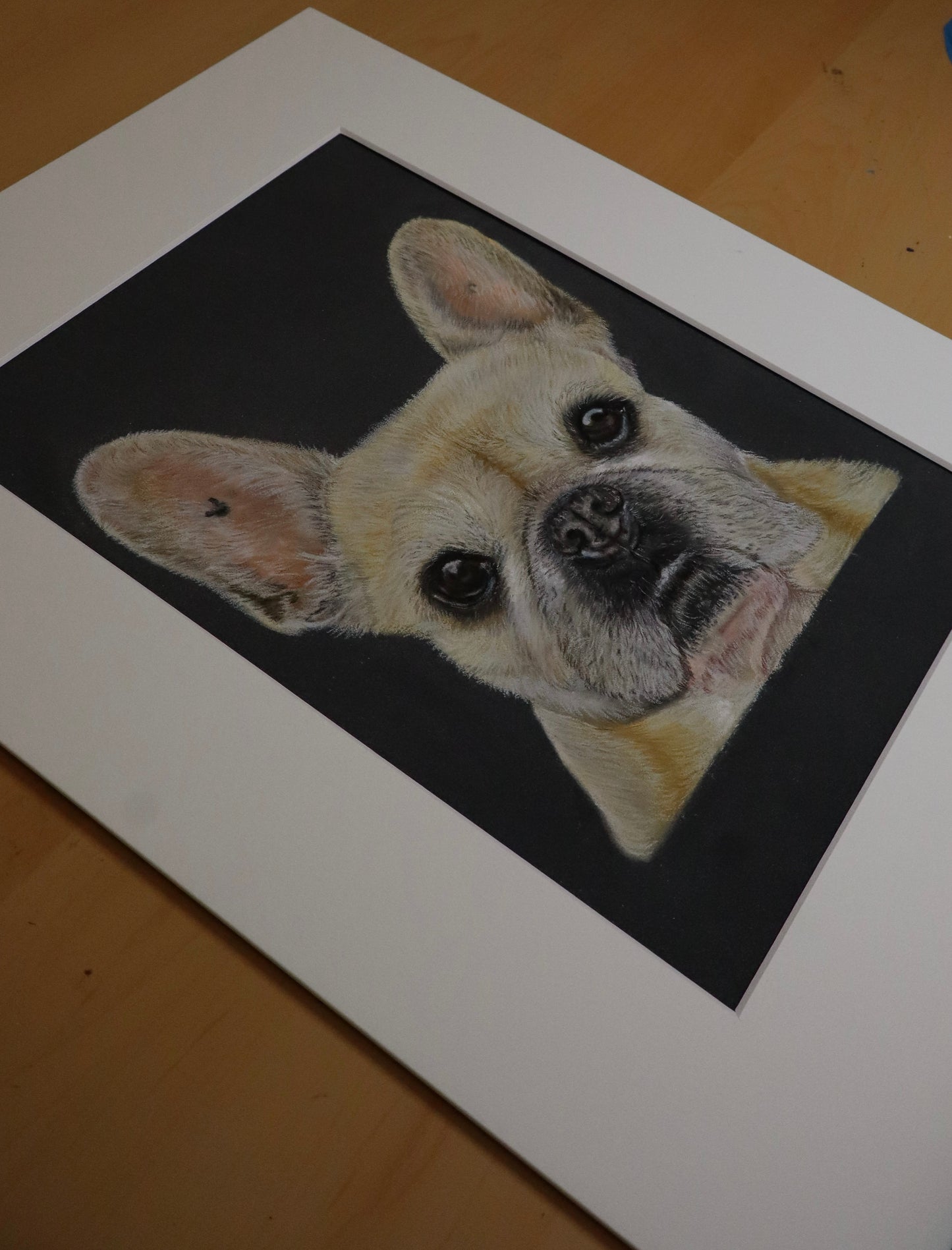 Commissioned Pastel Pet Portraits