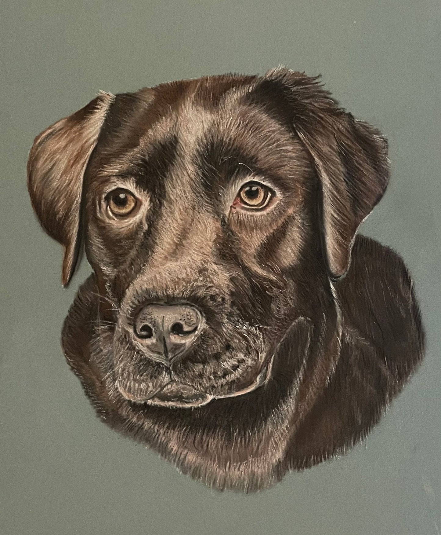 Commissioned Pastel Pet Portraits