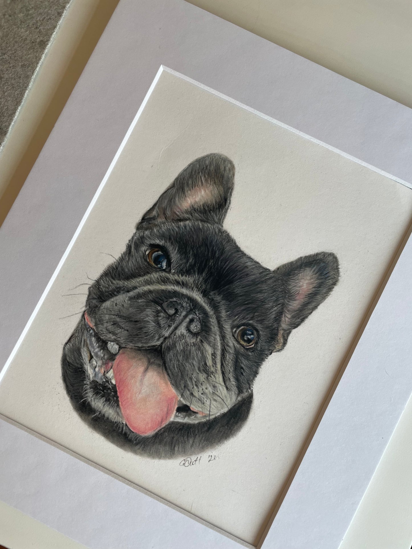 Commissioned Pastel Pet Portraits